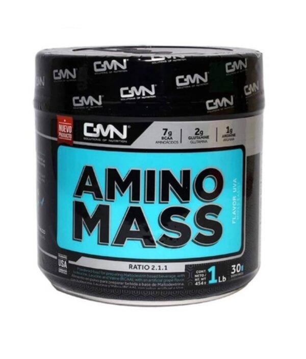 AMINO MASS  500GR